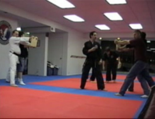Hapkido Board Breaking